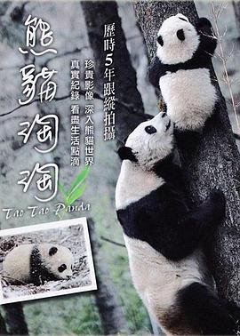 熊猫淘淘海报
