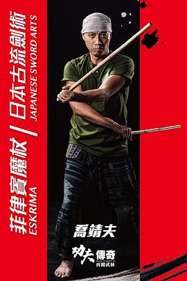 功夫传奇4再闯武林海报