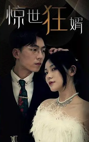 惊世狂婿海报