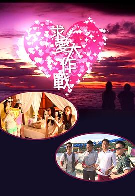 求爱大作战2013海报