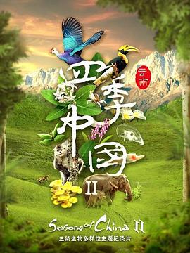 四季中国第二季海报