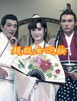 超级女巡按海报