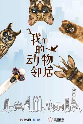 我们的动物邻居海报