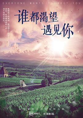 谁都渴望遇见你海报