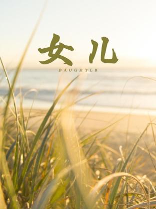 女儿2011海报