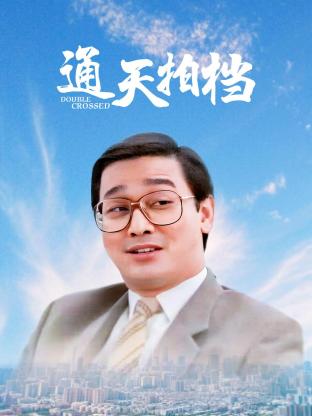 通天拍档1988海报