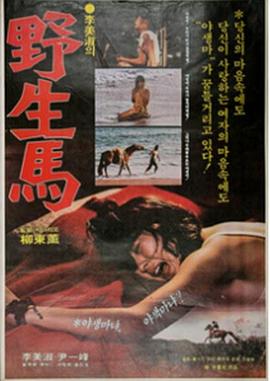 野生馬海报