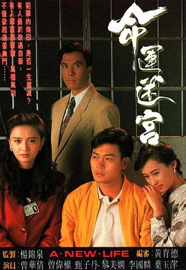 命运迷宫海报