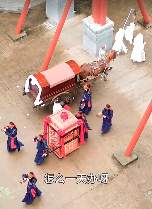 新：王妃她又美又飒103集海报