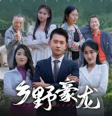 乡野豪龙海报