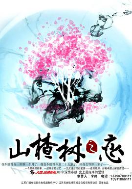 山楂树之恋2011海报