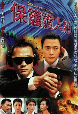保护证人组海报