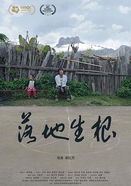 落地生根[预告片]海报