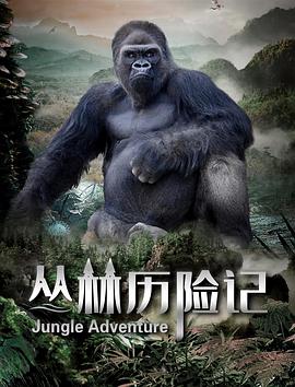 丛林历险记2020海报