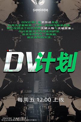 DV计划海报