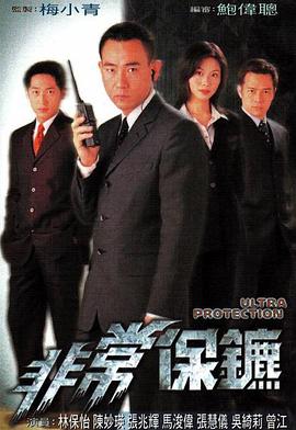 非常保镖1999海报