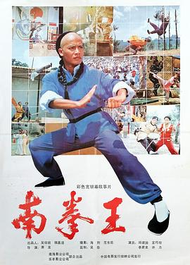 南拳王海报