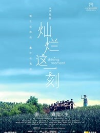 灿烂这一刻海报