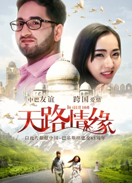 天路情缘海报