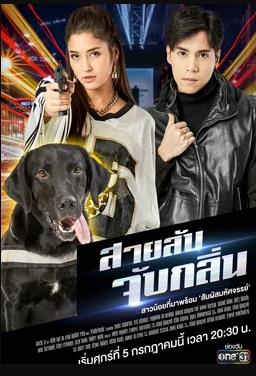 侦探K9普海报