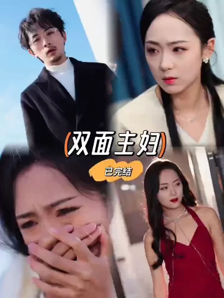 双面主妇海报