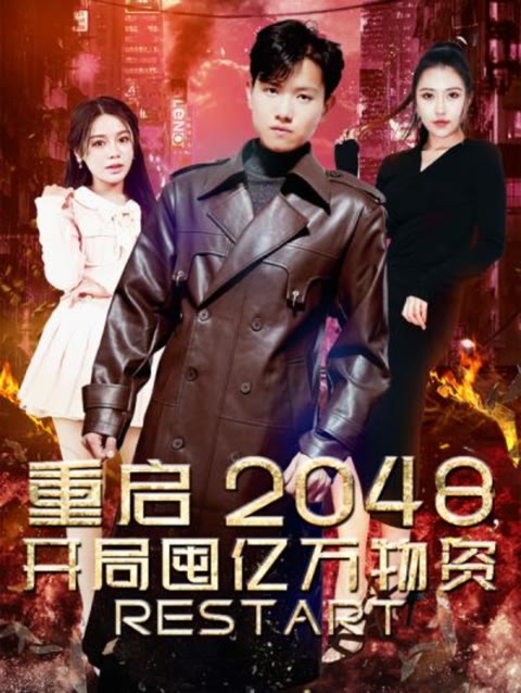 重启2048，开局囤亿万物资海报