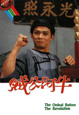贼公阿牛海报