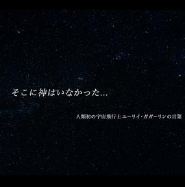 她选择了安乐死海报