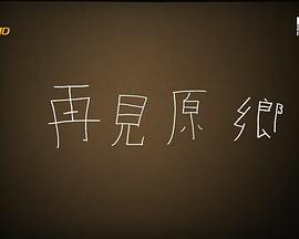 再见原乡海报