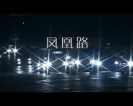 凤凰路海报