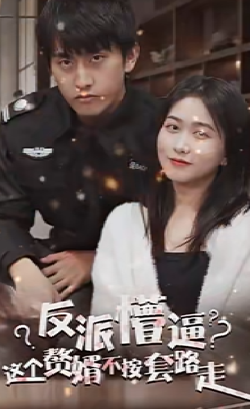 狂医废婿海报