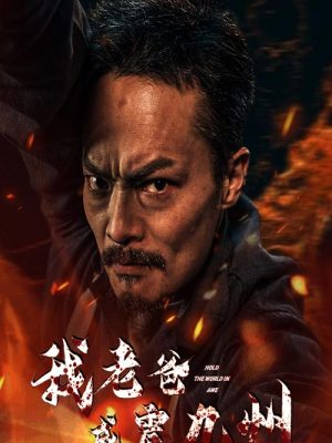 我老爸威震九州海报