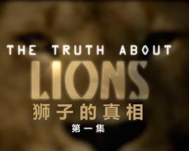 地平线系列：狮子的真相海报