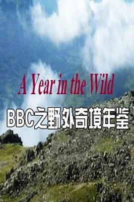 野外奇境年鉴海报