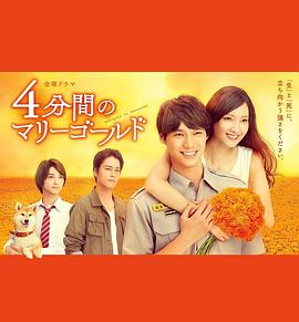 四分钟的金盏菊海报