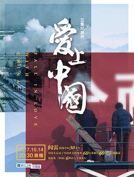 爱上中国海报