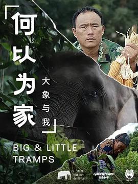 何以为家：大象与我海报