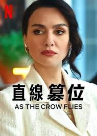 直线篡位海报