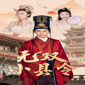 无双小县令海报