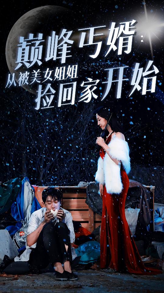 巅峰丐婿 从被美女姐姐捡回家开始海报