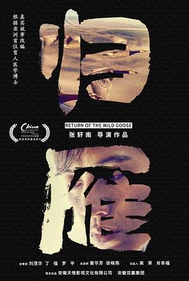 归雁海报