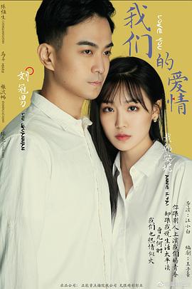 我们的爱情海报