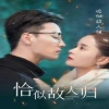 恰似故人归海报