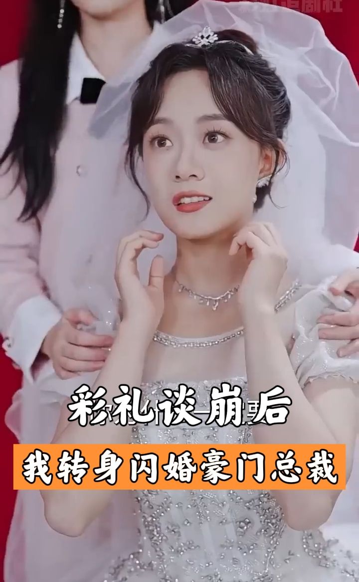 彩礼谈崩后我闪婚了豪门老公海报