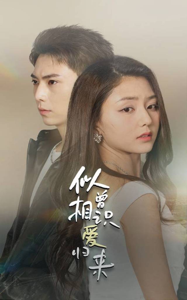 似曾相识爱归来海报