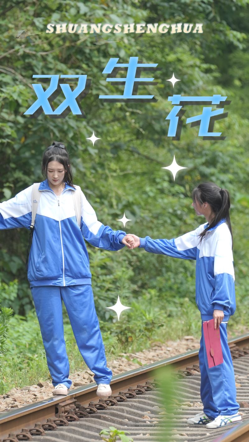 双生花海报