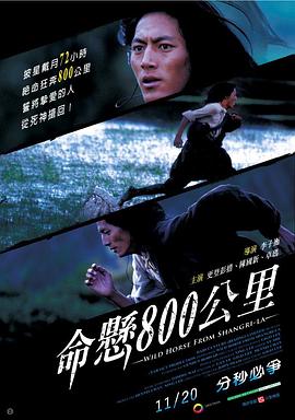 命悬800公里海报