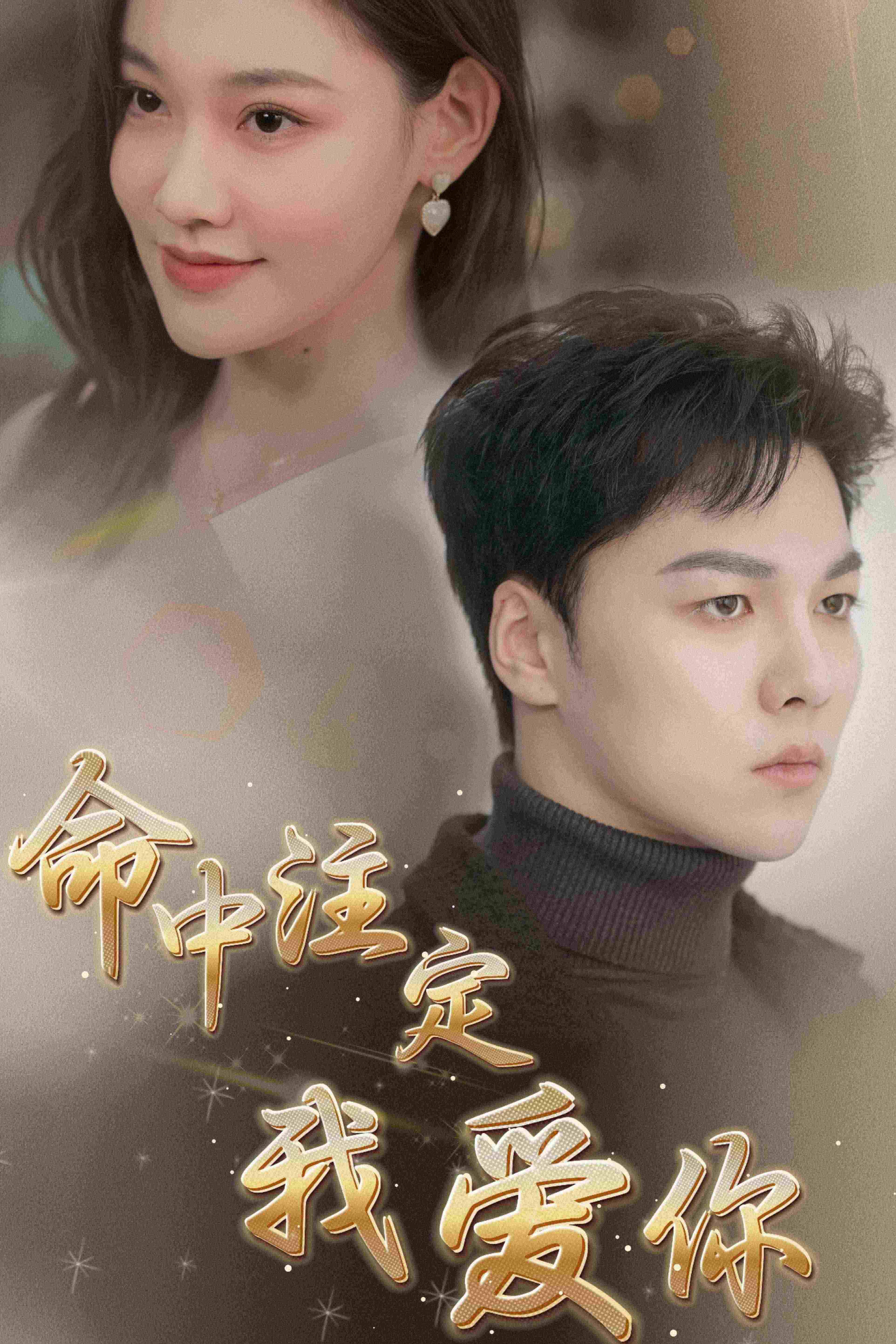 命中注定我爱你2008海报