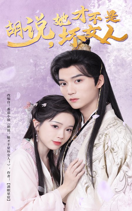 胡说，她才不是坏女人海报