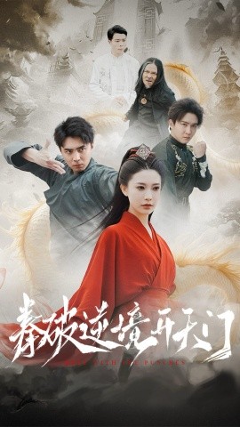 拳破逆境开天门海报